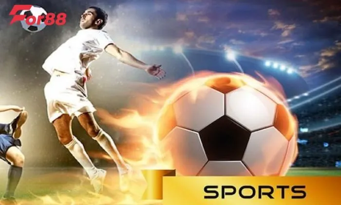 IM Sport For88 Chơi cược chấp thể thao hấp dẫn tại nhà cái